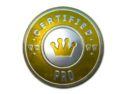 The Pro